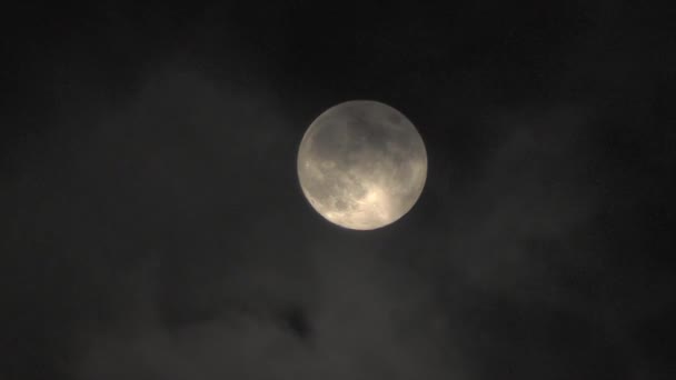 Місяць Хмарах Таємниця Нічного Неба Хмари Швидко Літають Перед Місяцем — стокове відео