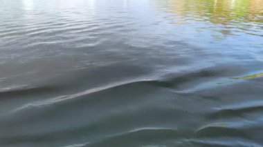 Waves on the surface of the water from a sailing ship. Waves from a floating boat