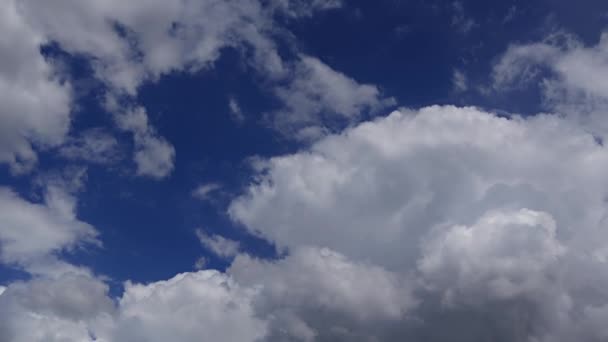 Cumulus Clouds Sky Rain White Clouds Moving Fast Blue Background — Stockvideo