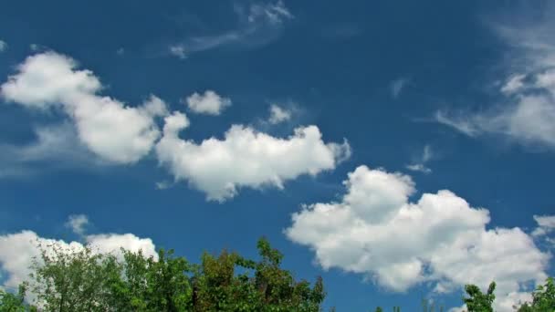 Clouds Sky Green Trees Blue Sky White Clouds Daytime Timelapse — Vídeos de Stock