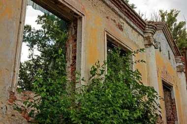 An old house where no one lives. Ruined house without a roof overgrown with vegetation