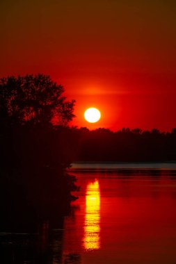 Red sunset over the forest Reflection of the sun on the surface of the water. Summer evening nature. There is free space for text