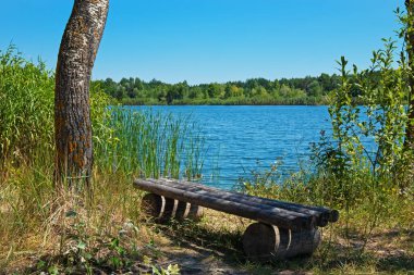 A wooden bench on the bank of a river (lake or pond) on a summer day. Blue clear sky and nature of Ukraine