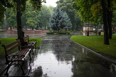 Empty city park with benches on a rainy day - Kremenchuk city, Ukraine