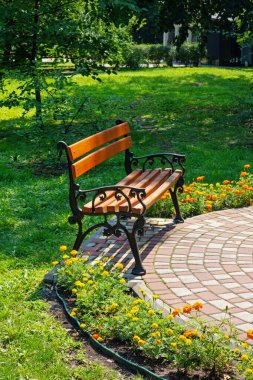 Bench in a city park without people on a summer sunny day