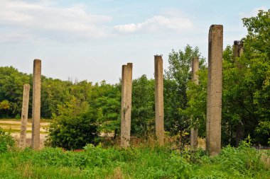 Concrete pillars at an abandoned construction site