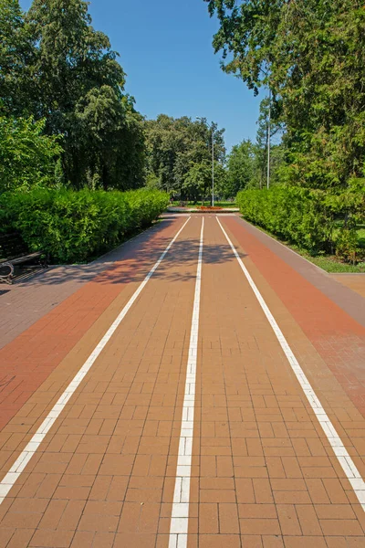 Bicycle Path Green City Park Summer Sunny Day — ストック写真