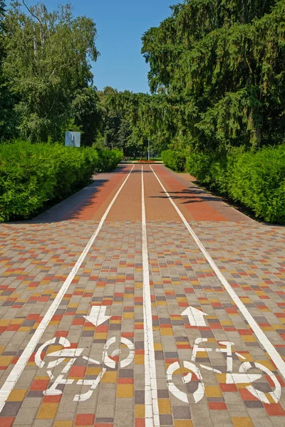 Bicycle Path City Park Summer Sunny Day — Stockfoto