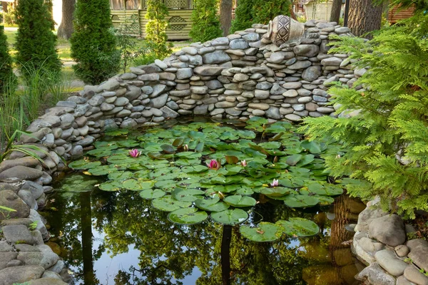 Decorative Pond Water Lilies Garden — Stockfoto