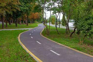 Bicycle path, running and walking paths among trees and bushes in the city park on the lake