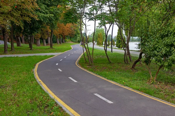 Bicycle Path Running Walking Paths Trees Bushes City Park Lake — Stock fotografie