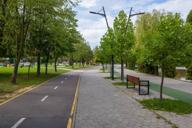 Bicycle path, jogging path and pedestrian alley in the city park on the lake on a summer day