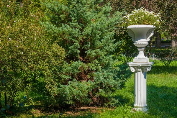 Large White Ceramic Vase Flowers Column Garden Sunny Summer Day — Zdjęcie stockowe
