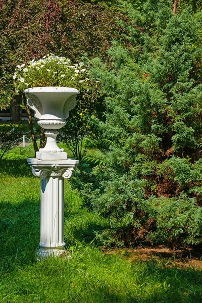 Antique Vase Flowers White Column Garden Summer Sunny Day Greenery — Zdjęcie stockowe
