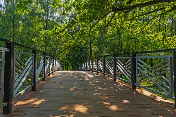 Pont Piétonnier Dans Parc Ivano Frankivsk Ville Ukraine Rampes Métalliques — Photo