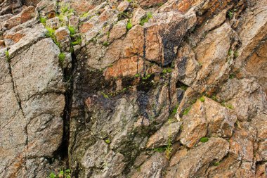 Çatlaklardan sızan siyah bir maddeye sahip bir taş. Kremenchuk şehrindeki Ukrayna kristal kalkanının magmatitleri. Dışarıda kaya oluşumu.