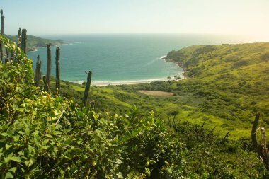 Buzios, Brezilya 'daki Foca bakış açısı