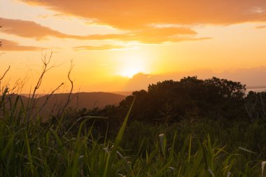 Bir sürü bitki örtüsüyle dağlarda günbatımı manzarası