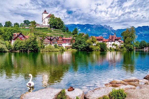 Werdenberg Gölü Sviçre Deki Gallen Kantonunda Buchs Şehri Manzaralı Werdenberg — Stok fotoğraf