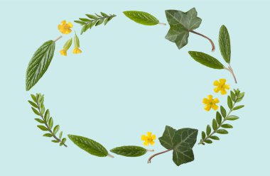 Beautiful flowers leaves frame. Sketch wreath, floral and herbal garland with green, green color. blank photo frame for text on pastel blue background. Wedding. Birthday. Valentine's Day. Mother's Day