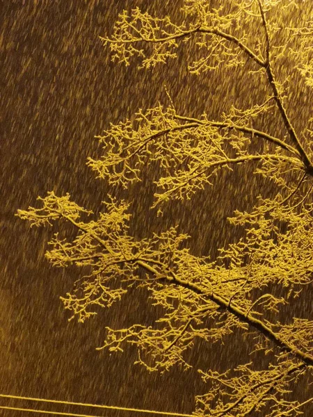 Snowfall Background Street Lighting — Stock Photo, Image