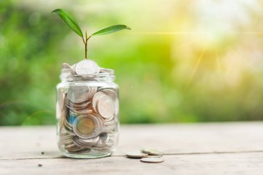The plant grew up in a loaded jar or jar savings coins with money and has beautiful green bokeh lights, Concept saving money, growth, economic business and investment.