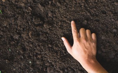 Adamın eli, bitkiler için gerekli besinleri içeren toprağı işlemek için gerekli teknolojiyi kullanarak kirli toprağa dokunuyor. Tarım için elverişli verimli bir toprak..