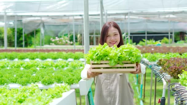Asijské Žena Farmář Ona Jasný Šťastný Úsměv Drží Koš Čerstvého — Stock video