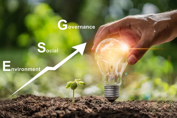 ESG Concept of sustainable corporate development by caring for the environment society and good governance. the bright light bulb guides the future to growth up of seedlings.