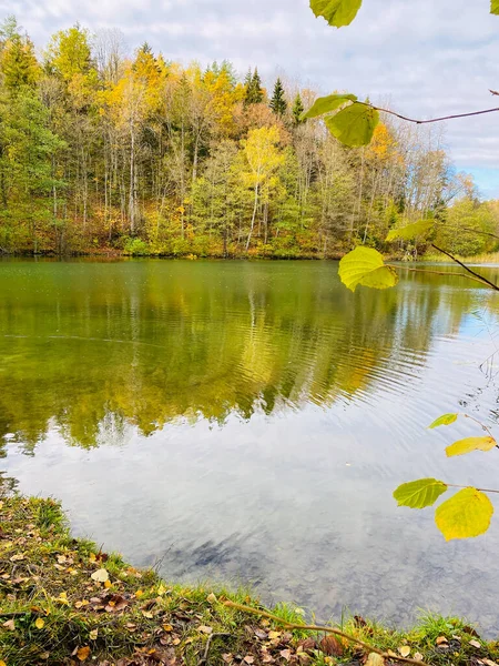 Bela Paisagem Outono Com Árvores Folhas Lago — Fotografia de Stock