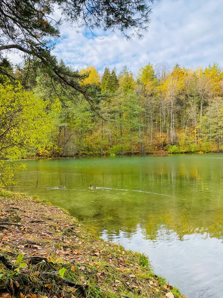 Beau Paysage Automnal Avec Des Arbres Des Feuilles Lac — Photo