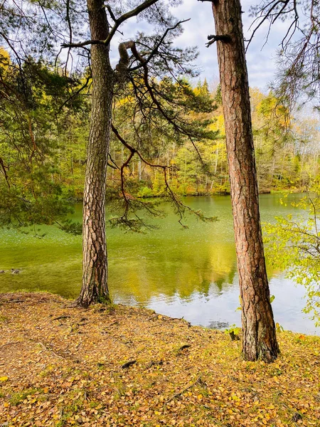 Beau Paysage Automne Dans Paysage Idyllique Dans Parc — Photo