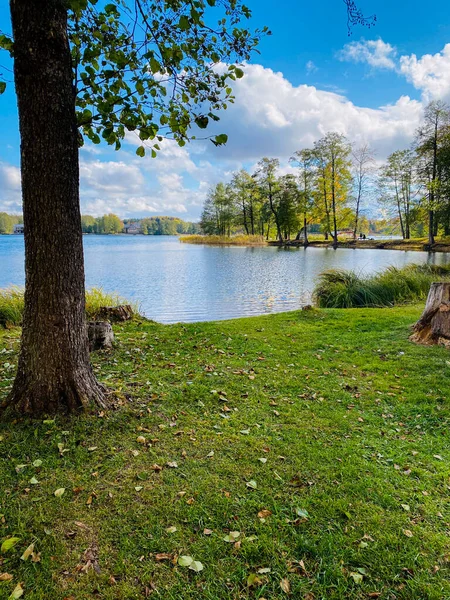 Paysage Automne Avec Arbres Forêt Lac — Photo