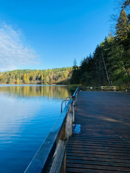 Paysage Automne Avec Arbres Forêt Lac — Photo