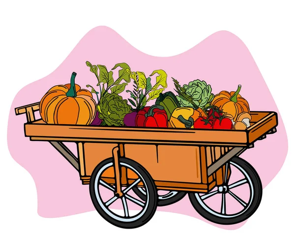Fresh Vegetables Farm Vegetable Garden Design Vector Illustration — Vettoriale Stock