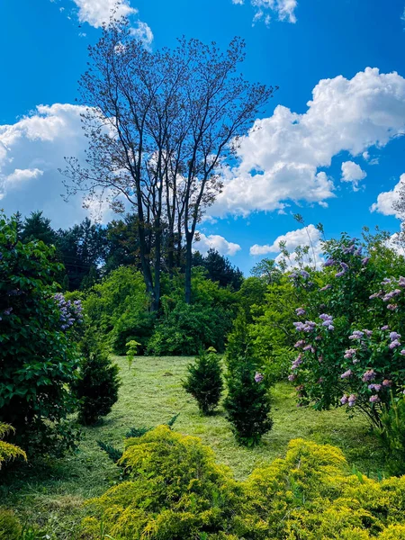 Doğanın güzel manzarası
