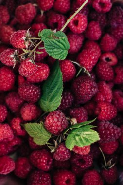 Taze ahududu ve geen yaprakları yakından görünür. 