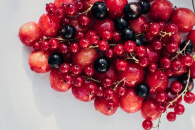 taze böğürtlen karışımı