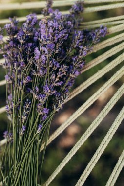 Dekoratif ipli lavanta buketi