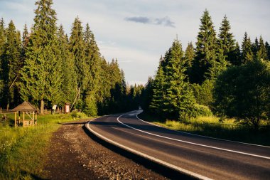 Günbatımında ormanda otoyol 