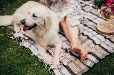 Çimlerin üzerinde bir köpekle piknik