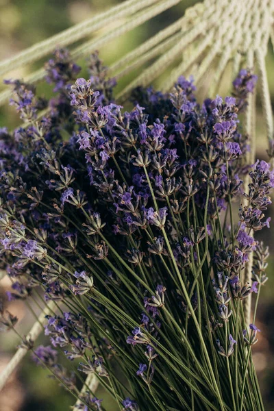 Lavender Bouquet Garden — Foto de Stock