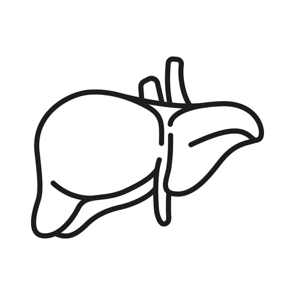 Liver Icon Editable Stroke — Stok Vektör