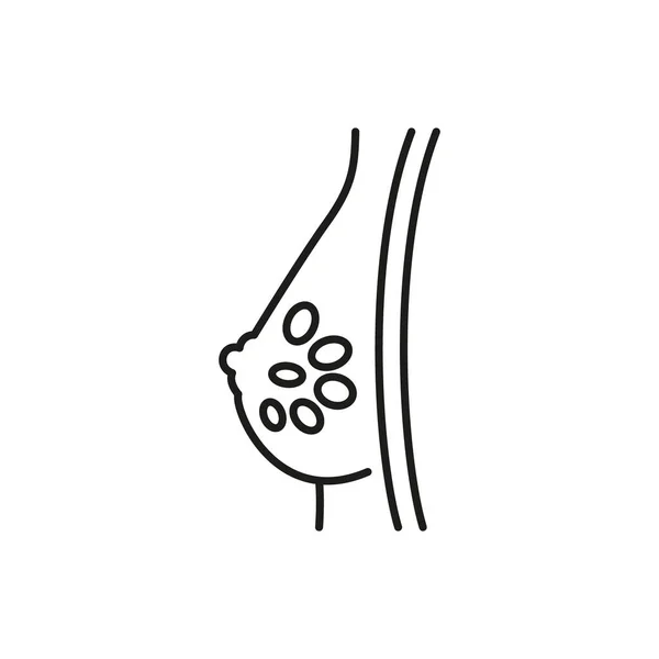 Mammary Gland Icon Editable Stroke — Image vectorielle