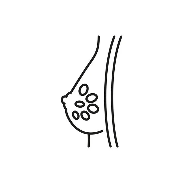 Mammary Gland Icon Editable Stroke — 스톡 벡터