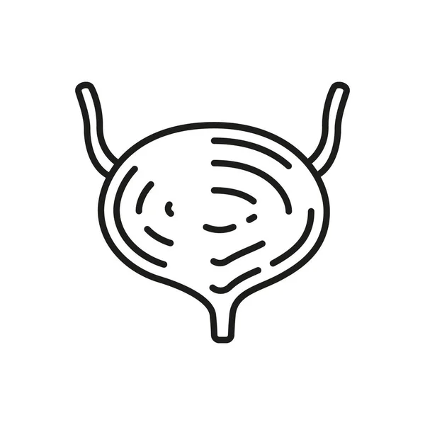 Bladder Icon Editable Stroke — Image vectorielle