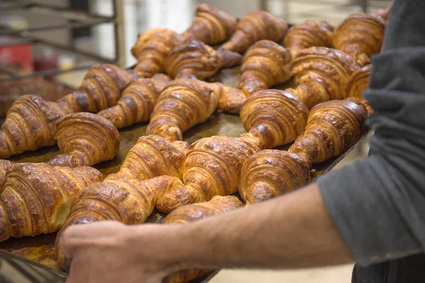 beker man hold a Fresh baked french croissants in a bakery, close up