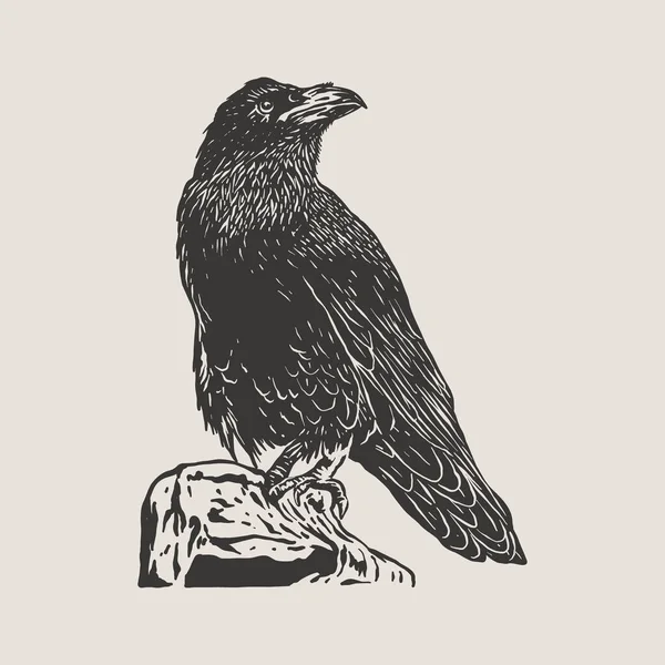 Black Crow Raven Bird Vector Illustration — 스톡 벡터