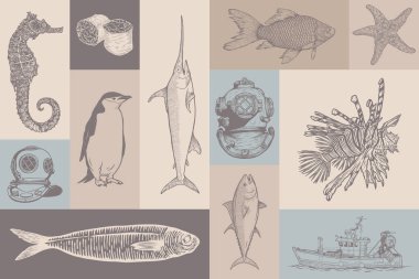 Sea collection hand drawn vector set