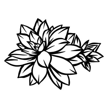 Aloe bitkisi - vektör el çizimi - Çizgi dışı